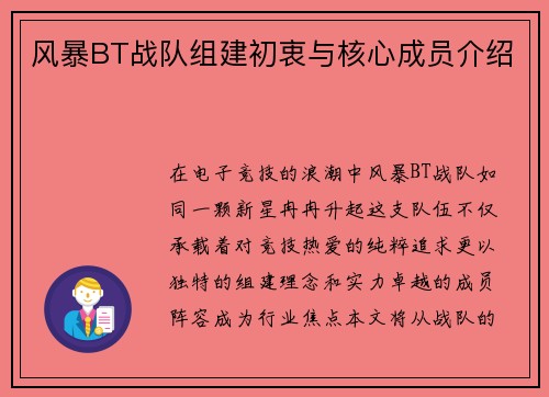 风暴BT战队组建初衷与核心成员介绍